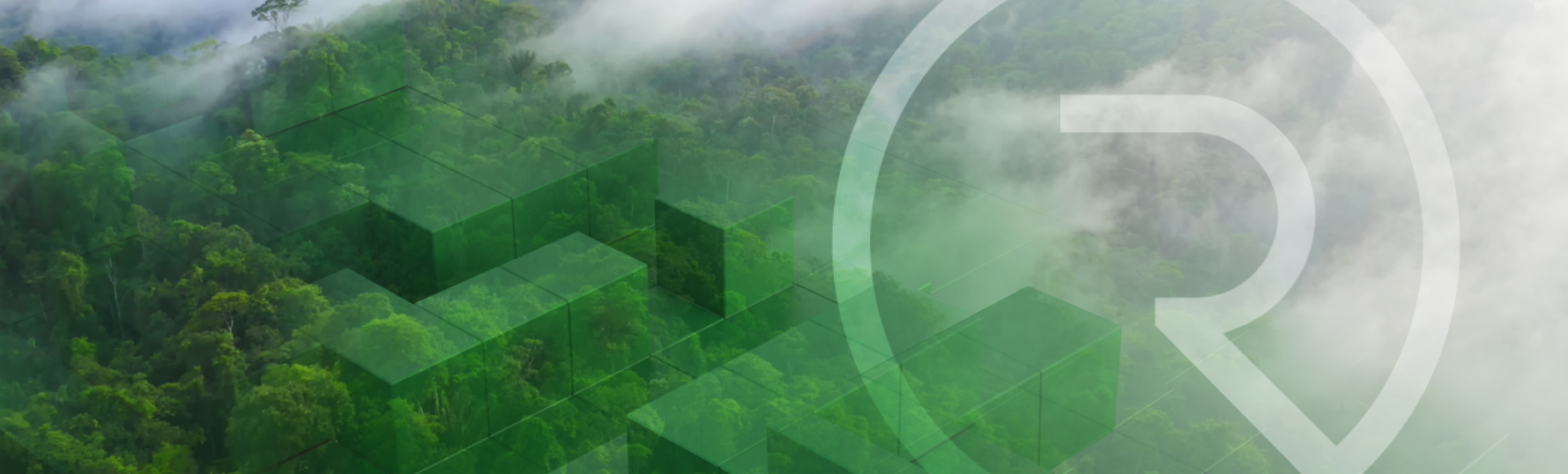 A New asset class to sponsor rainforest conservation